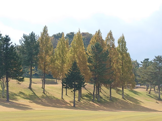 Matsushima Chisan Country Club Daigo Course - Photo 8