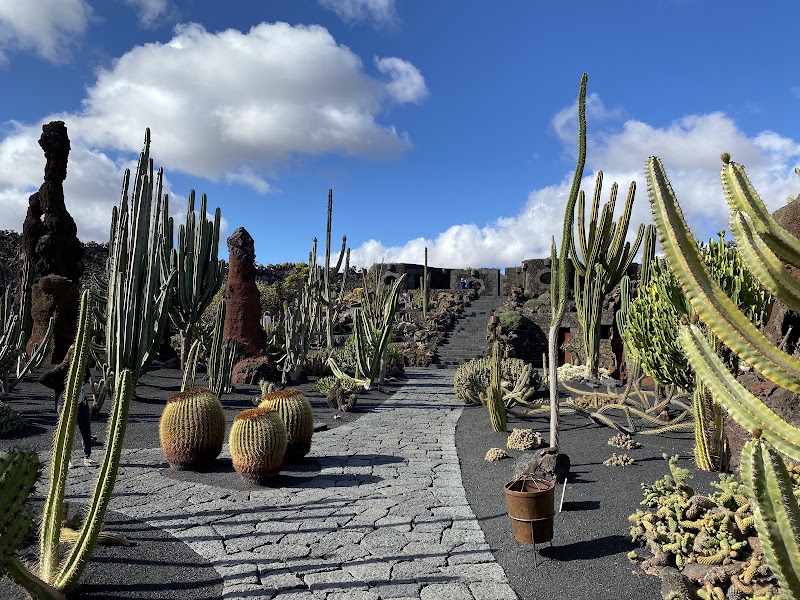Jardín de Cactus | CACT Lanzarote
