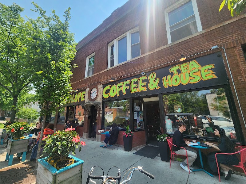 Jackalope Coffee & Tea House photo 1