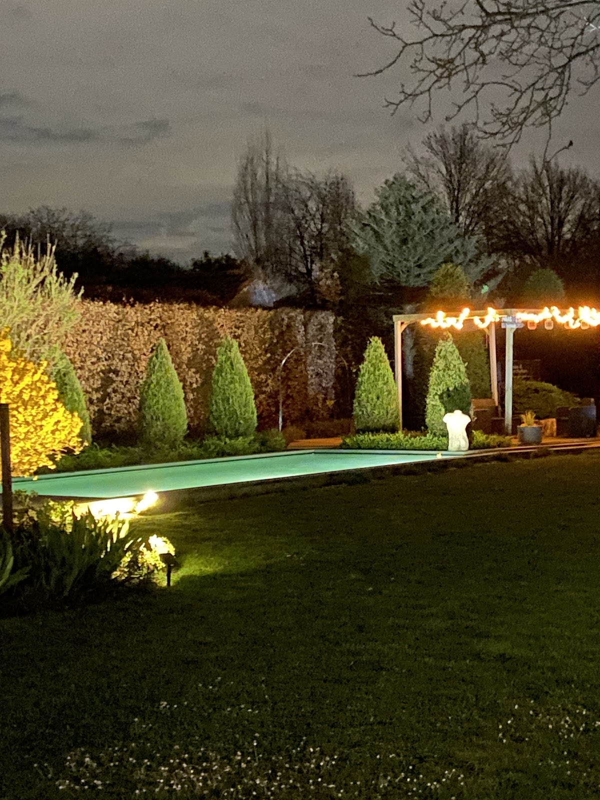 Maas&Mechelen - Holiday Home in MaasMechelen