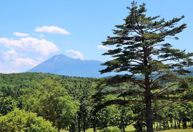 Appi Kogen Golf Club - Photo 10