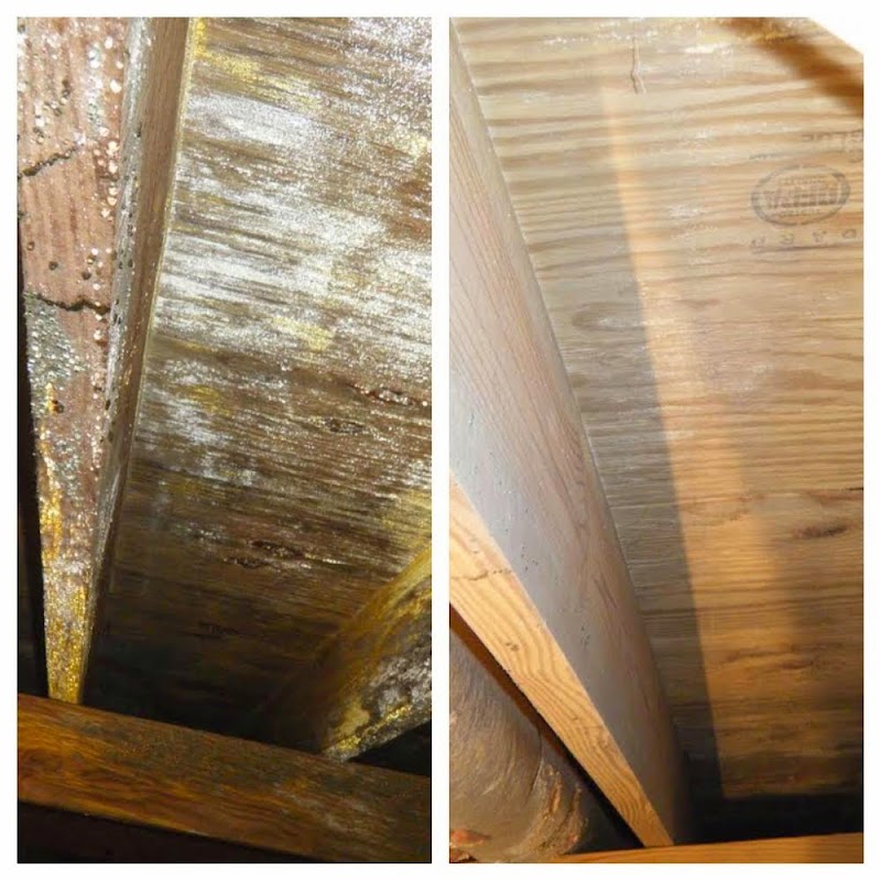 Solutions LLC — photo