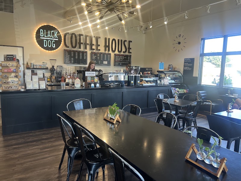 Black Dog Coffee House x 24th Street photo 3