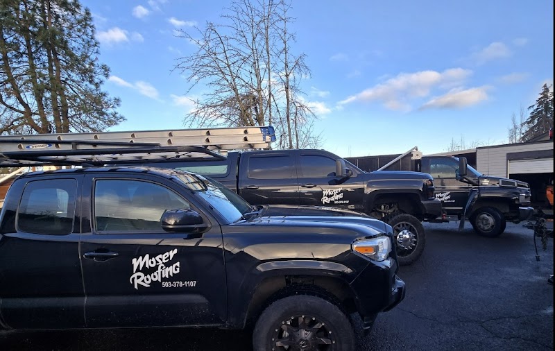 Moser Roofing photo 1