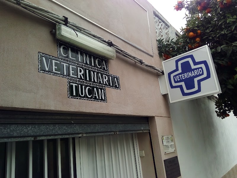Consulta Veterinaria Tucan