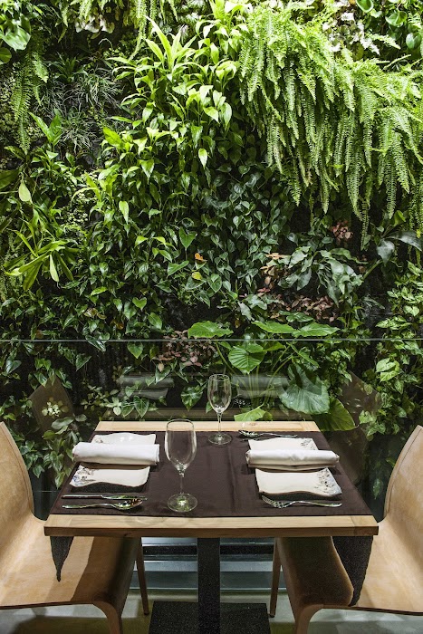 Restaurante Terraza De La O | Cocina Andaluza en Sevilla fotoğraf 1
