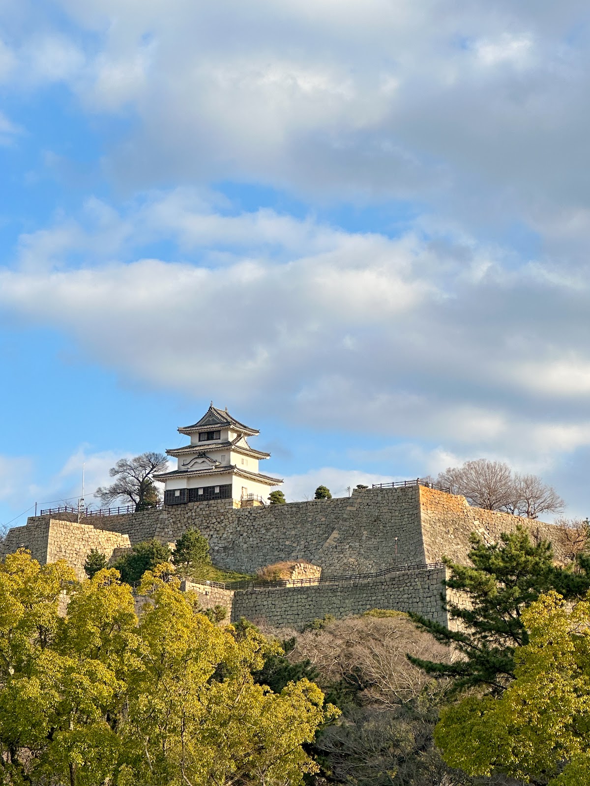 Nipponia Hotel Marugame Castle - hotel in Marugame, Kagawa (2)