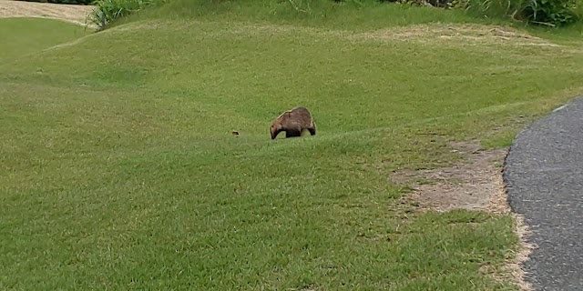 Agakogen Golf Club - Photo 5