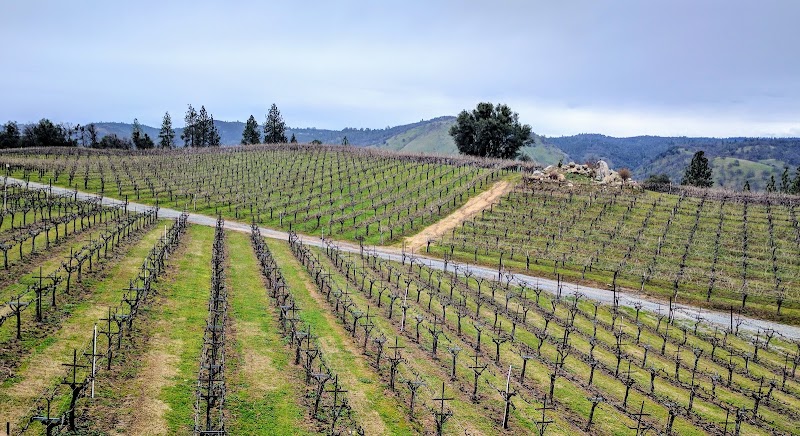 Gold Hill Vineyard and Brewery