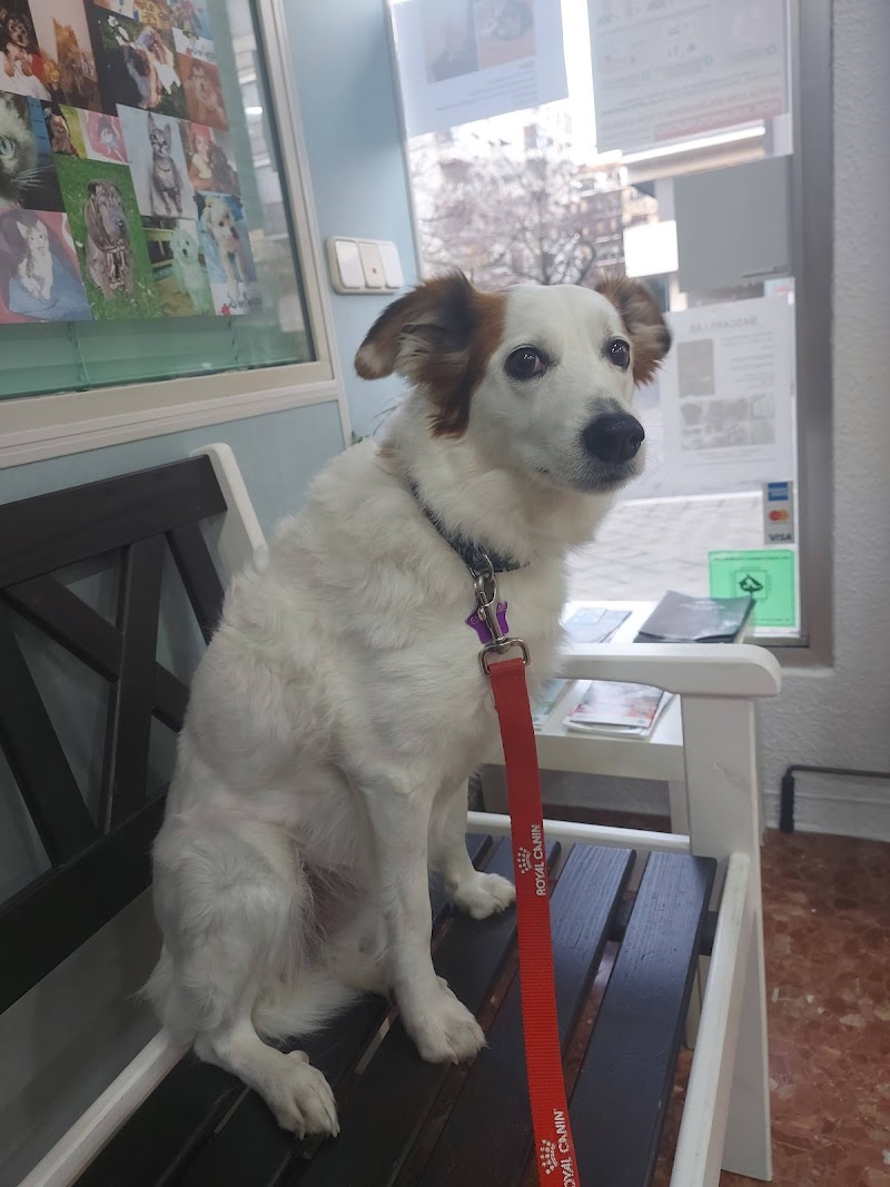 Clinica Veterinaria Bosco