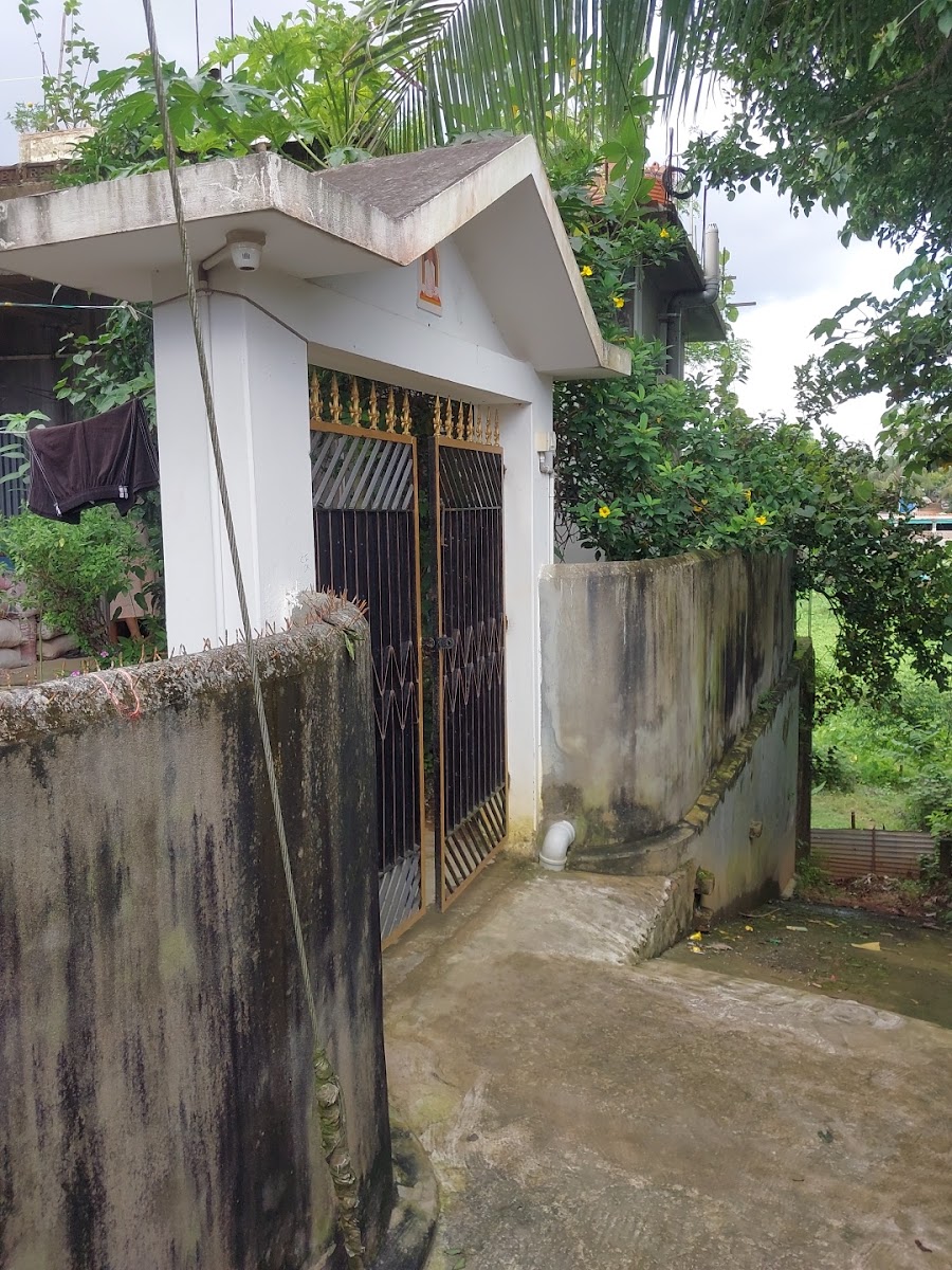 The Deb Roy Residence photo 1