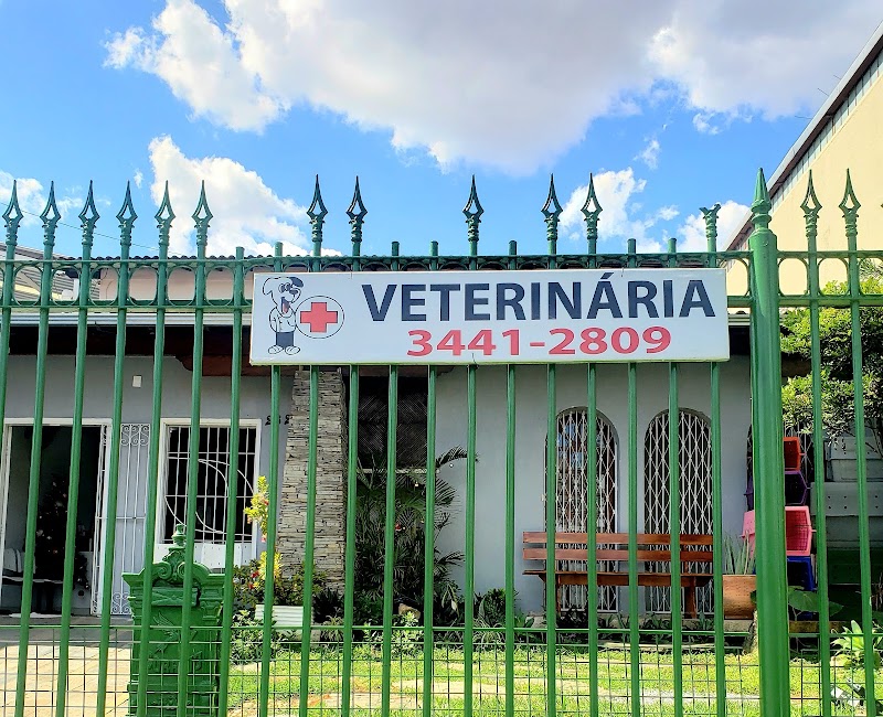 Clínica Veterinária Pampulha - Veterinário em BH - foto 5