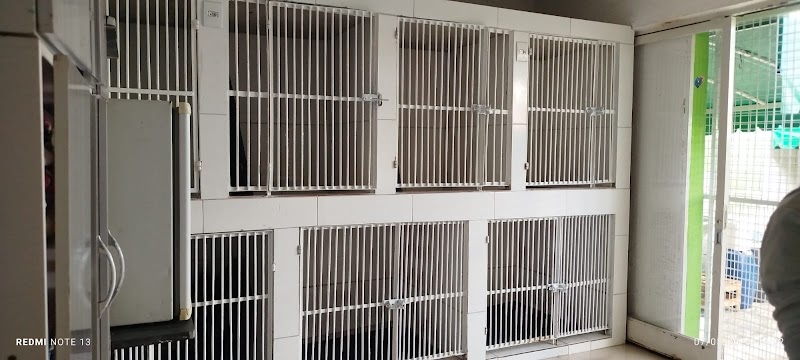 Clínica Veterinária Pampulha - Veterinário em BH - foto 4