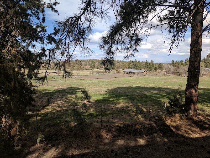 Rock Springs Ranch - Photo 2