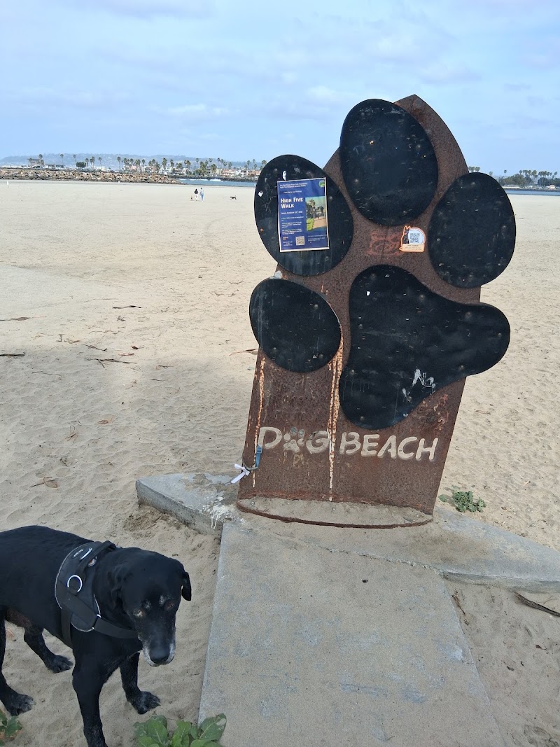 Ocean Beach | Dog Beach in San Diego