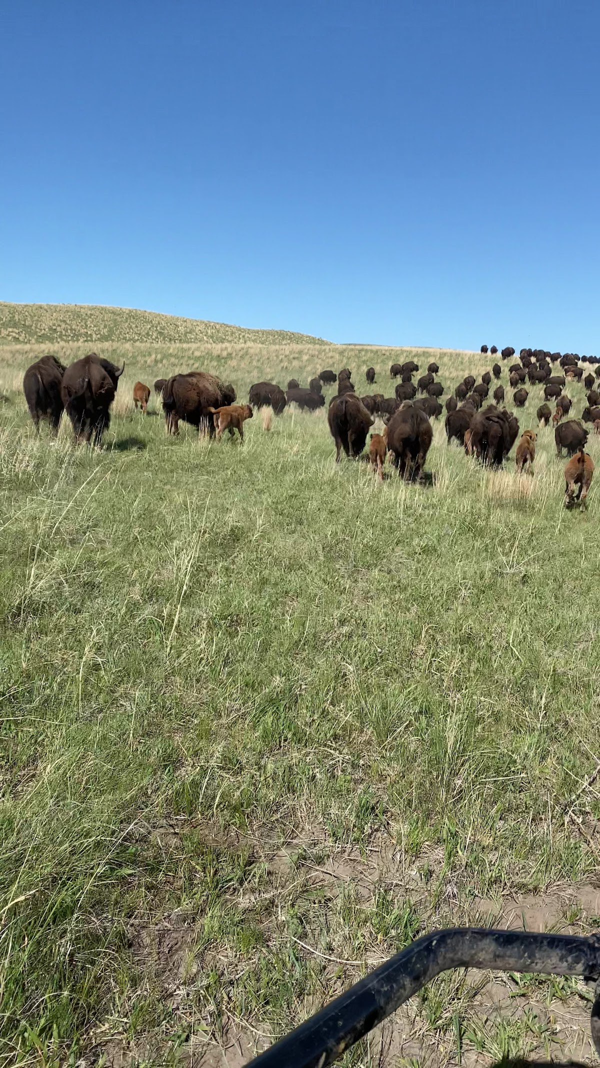 Spike Box Ranch