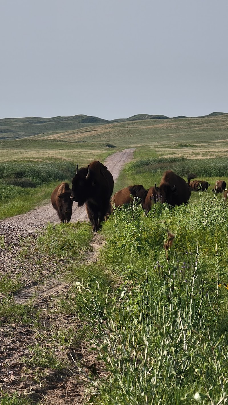 Spike Box Ranch - Photo 1