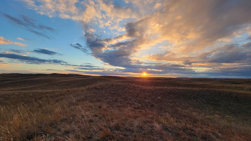 Spike Box Ranch - Photo 5