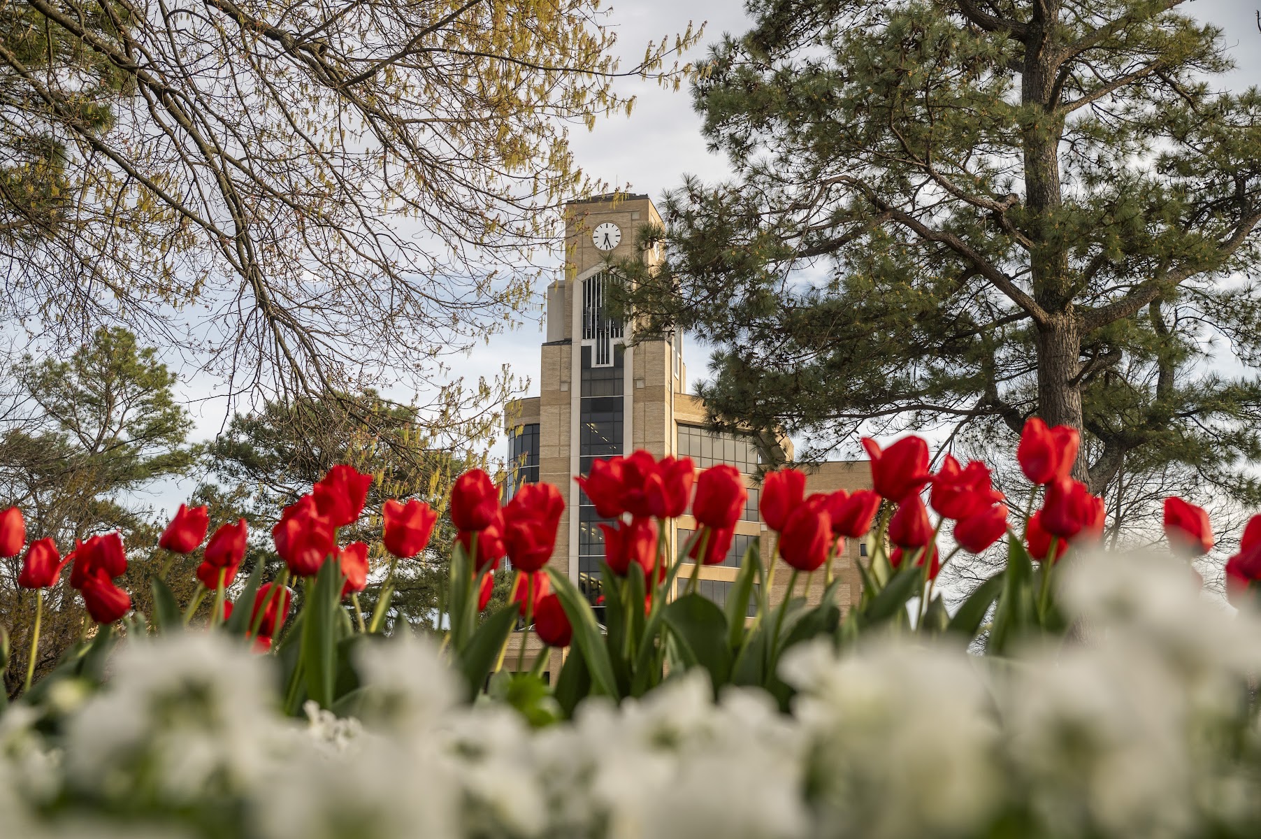 アーカンソー州立大学（Arkansas State University）（Jonesboro、アーカンソー州）