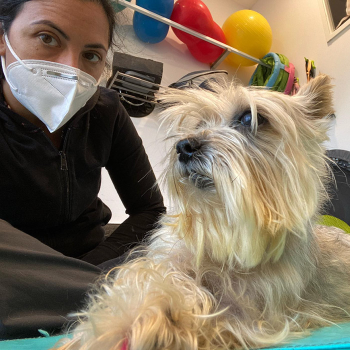 Carmen Ceres, Veterinaria Especialista en Fisioterapia y Rehabilitación para Perros y Gatos