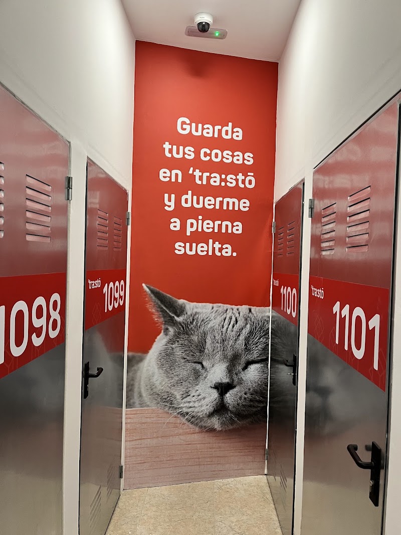 trasto en C/ de Jover, 9, 12002 Castellon, Castelló, España - Imagen 3