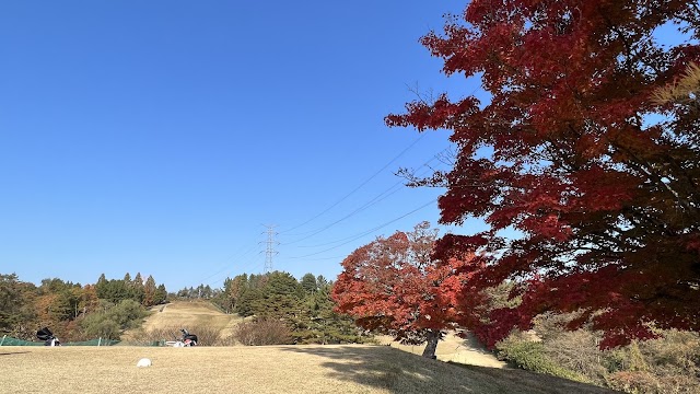 Tomiyama Public Course - Photo 5
