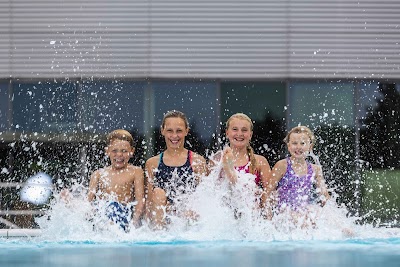 Dithmarscher Wasserwelt