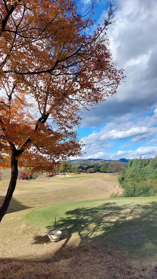Takanashi Golf Club - Photo 8