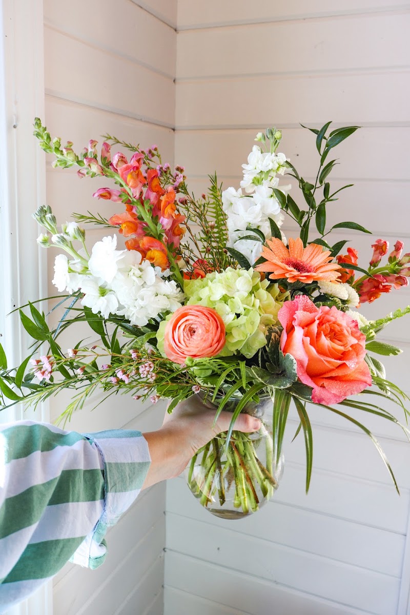 Scottwood Floral photo 2