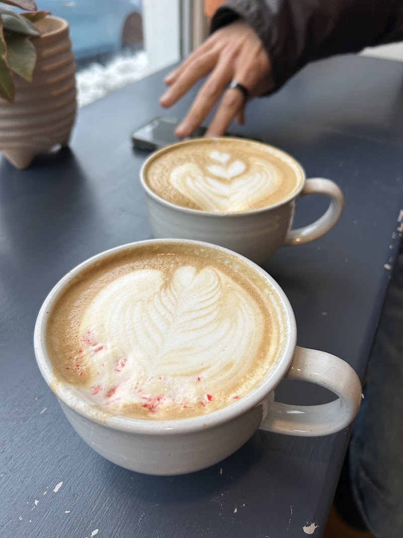 Catface Cafe photo 3