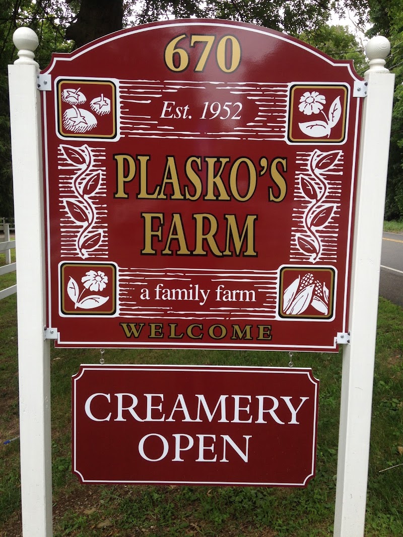 Plasko's Farm Creamery & Cafe photo 3