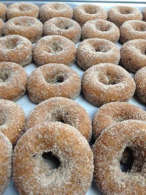 Plasko's Farm Creamery & Cafe photo 2