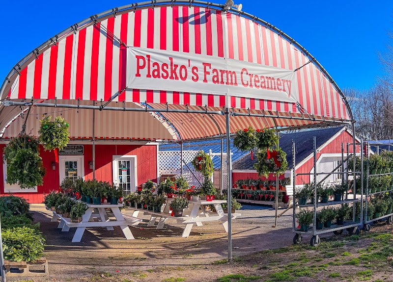 Plasko's Farm Creamery & Cafe photo 1