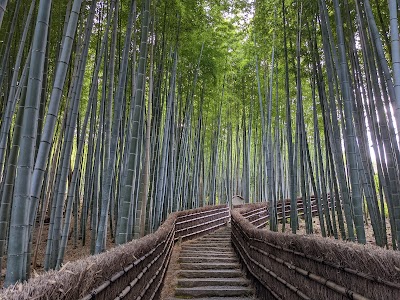 Adashino Nenbutsu-ji - 2