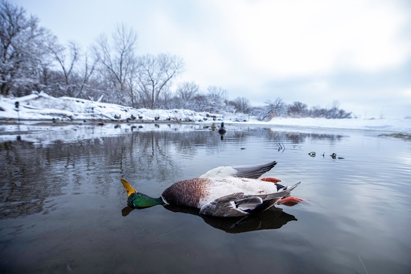 River Lodge Outfitters - Photo 2