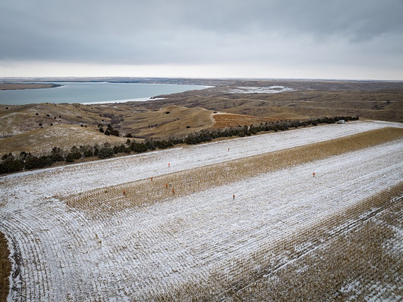 Big Bend Ranch Pheasant Hunting - Photo 4