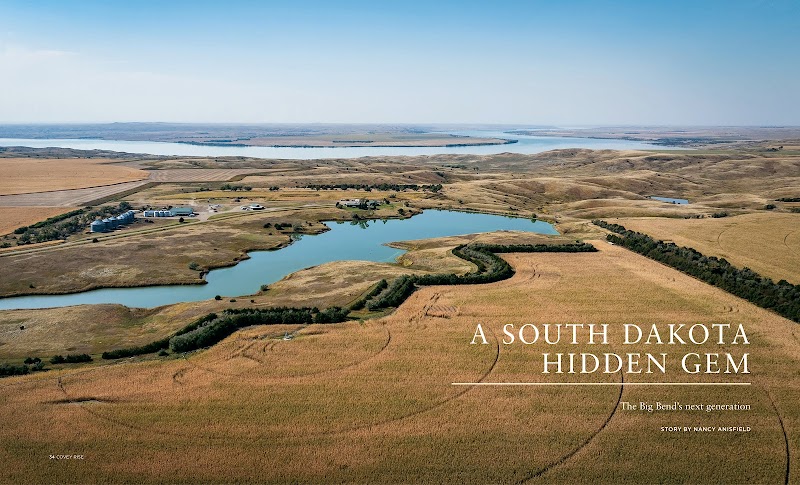 Big Bend Ranch Pheasant Hunting - Photo 1
