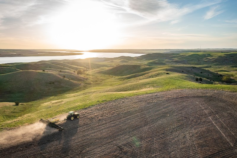 Big Bend Ranch Pheasant Hunting - Photo 5
