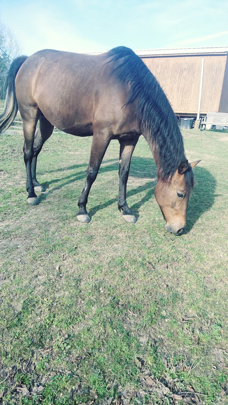 Bar-J Ranch - Photo 6