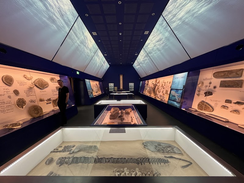 Museum of Jurassic Marine Life