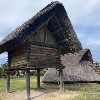 Toro Ruins & Museum photo