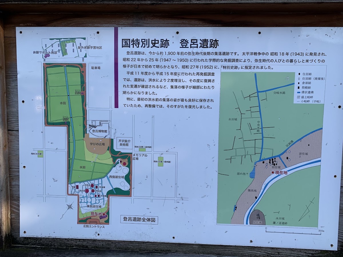 Toro Ruins & Museum photo