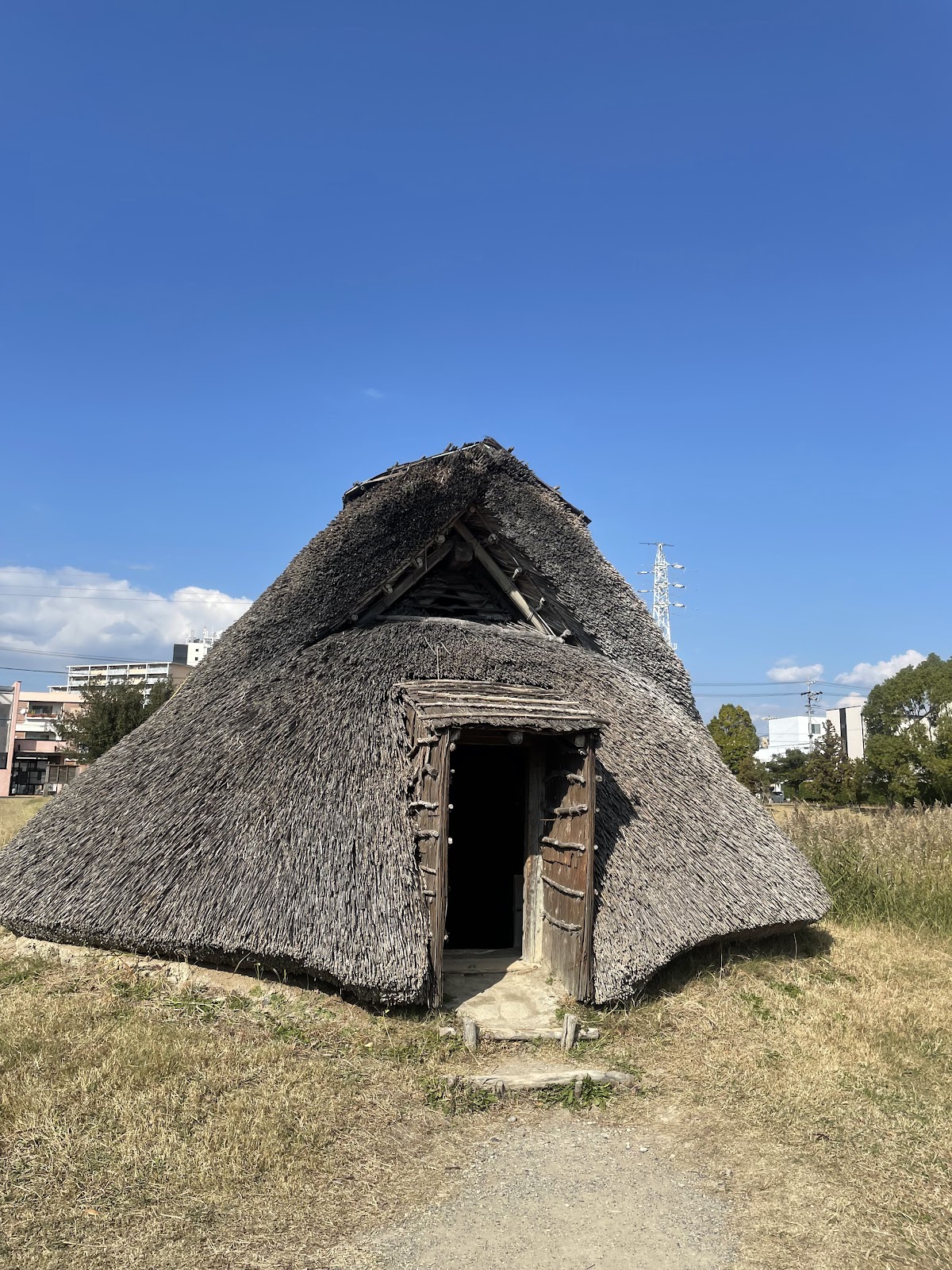 Toro Ruins & Museum