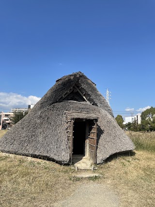 Toro Ruins & Museum photo