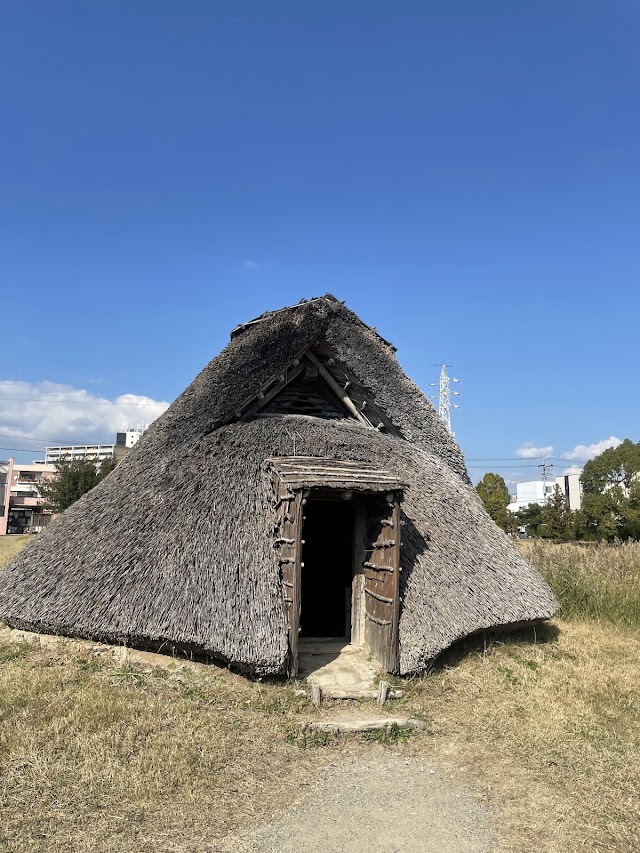 Toro Ruins & Museum, ~11 min train + 10–15 min bus from Shimizu cruise port