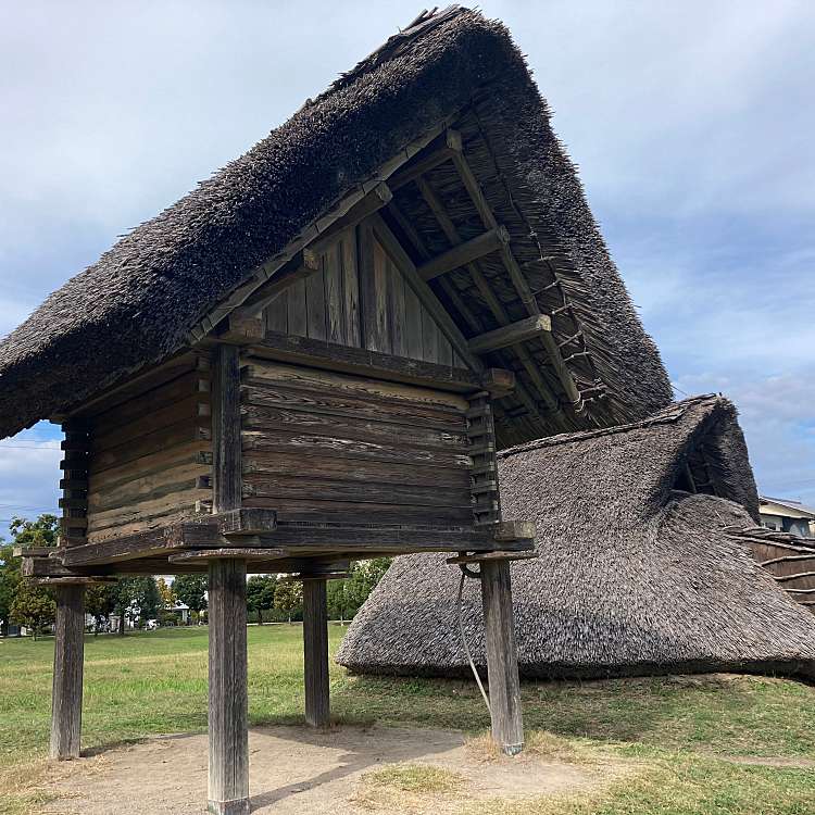 Toro Ruins & Museum photo