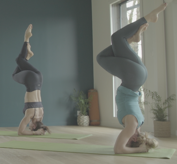 VANAYOGA - Studio de Yoga Vannes/Arradon — 4