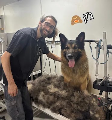 4TheDog | פור דא דוג - מספרת כלבים