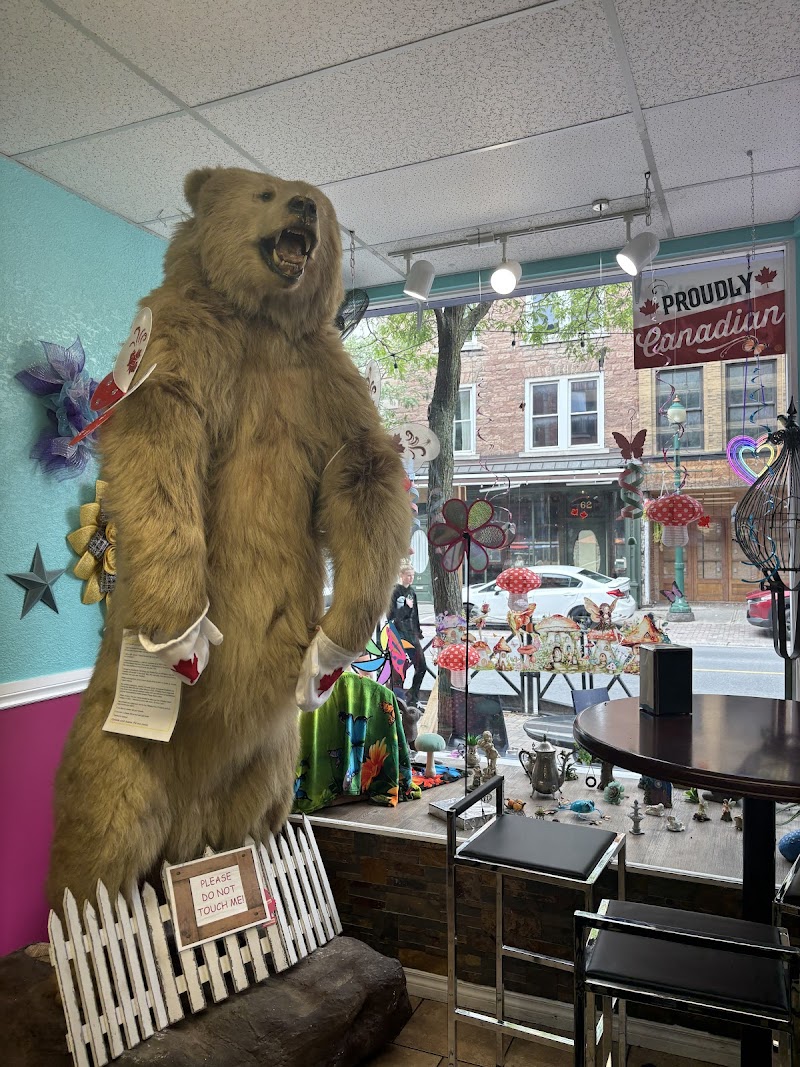 O'Mally Kourt Fudgery photo 4