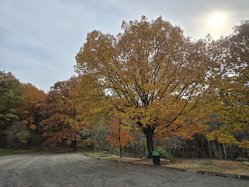 Deer Lakes Disc Golf Course photo 4